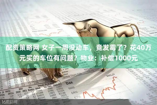 配资策略网 女子一周没动车，竟发霉了？花40万元买的车位有问题？物业：补偿1000元